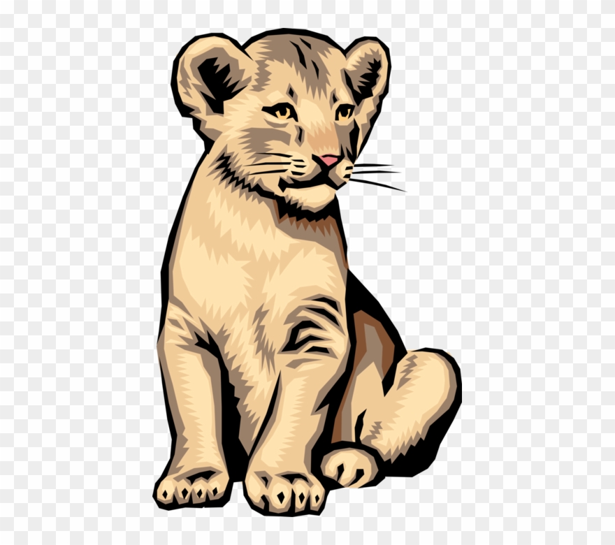 Vector Illustration Of Big Cat African Lion Cub - Realistic Lion Cub Clip Art - Png Download