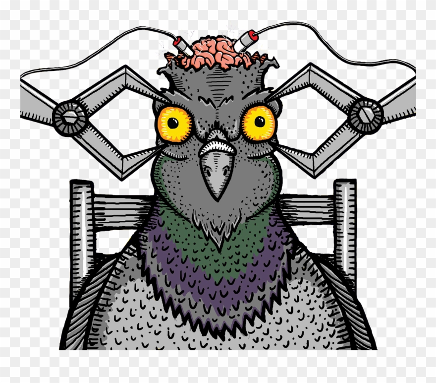 [interview] Pigeons Playing Ping Pong Talk Ties To Clipart