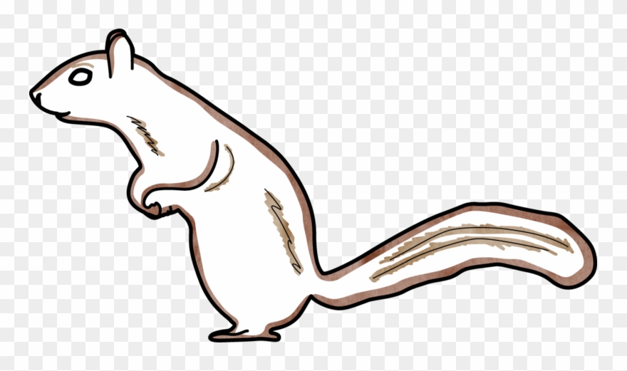 9188297 Web Squirrel - World Wide Web Clipart