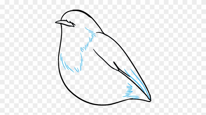 How To Draw Robin - Drawing Clipart