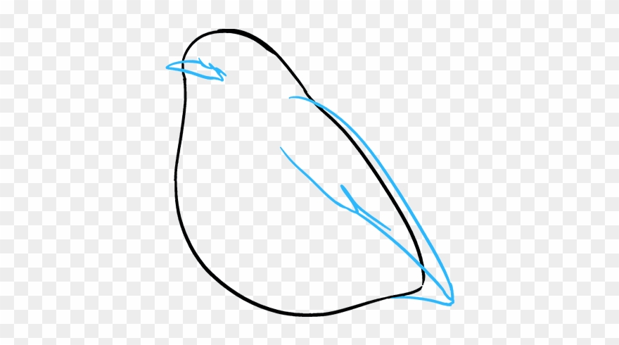 How To Draw Robin - Drawing Clipart