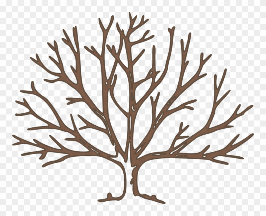Be The Branch - Bare Tree Clipart - Png Download