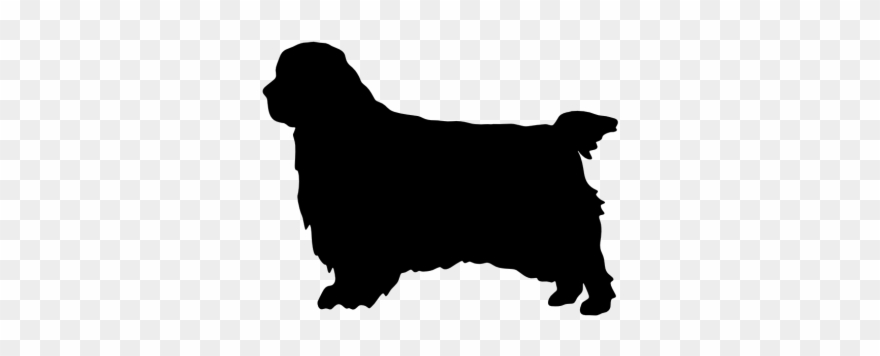 Clumber Spaniel, Photo Puzzle Game - Dog Clipart