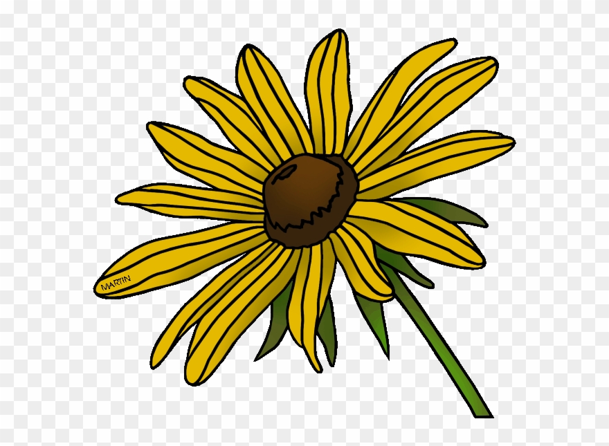 State Flower Of Maryland - Black Eyed Susan Clip Art - Png Download