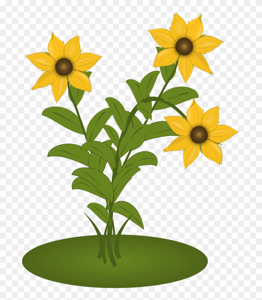 Black Eyed Susans - Sunflower Clipart