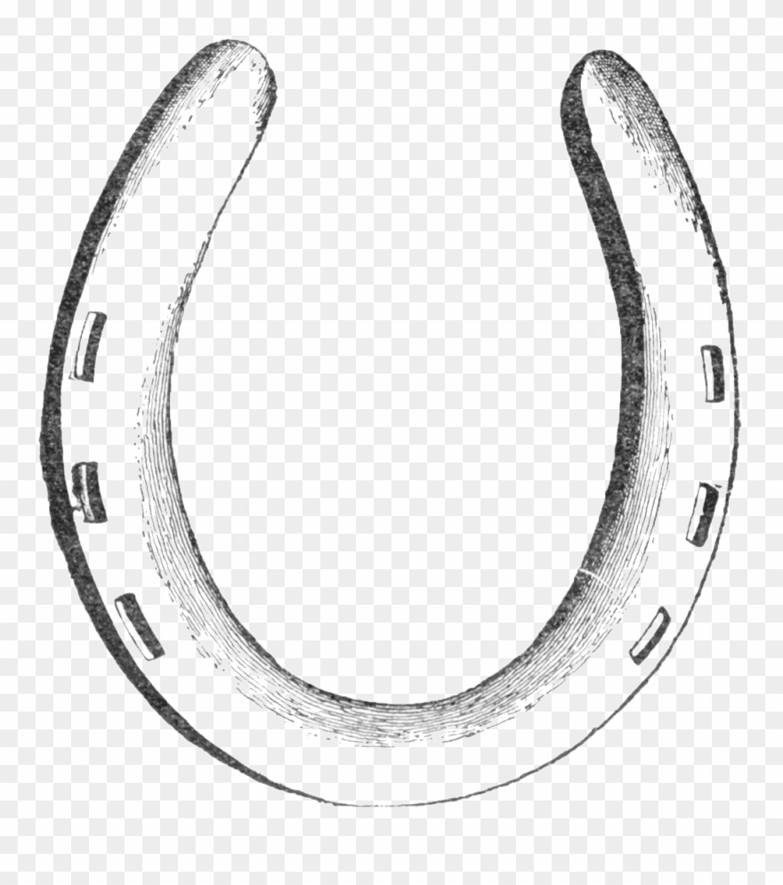 Horseshoe Drawing Ubisafe Pinterest Drawings Png Ubisafe - Horse Shoe Clipart