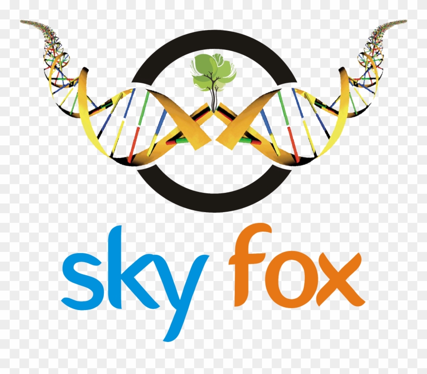 Skyfox Publishing Group Clipart