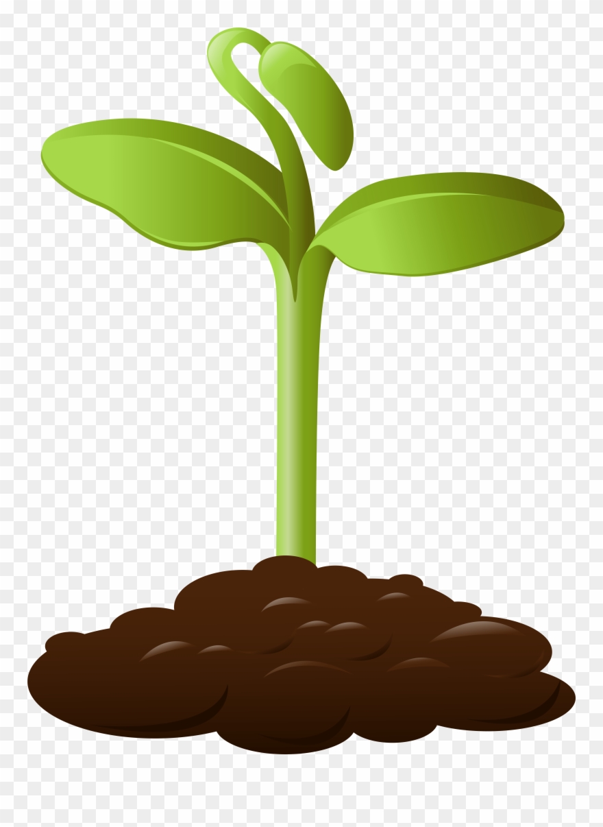 Spring Crop Transparent Png Clip Art Image