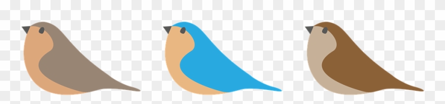 Birds, Digital Illustration, Easter - Illustration Clipart