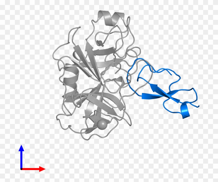<div Class='caption-body'>pdb Entry 1co7 Contains 1 - Illustration Clipart