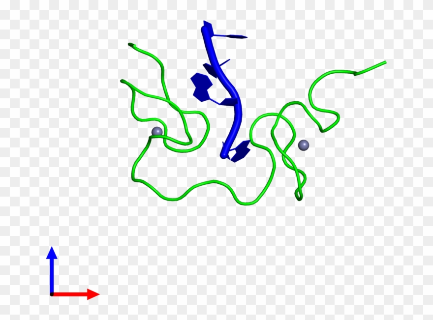 Dimeric Assembly 1 Of Pdb Entry 2l4l Coloured By Chemically Clipart