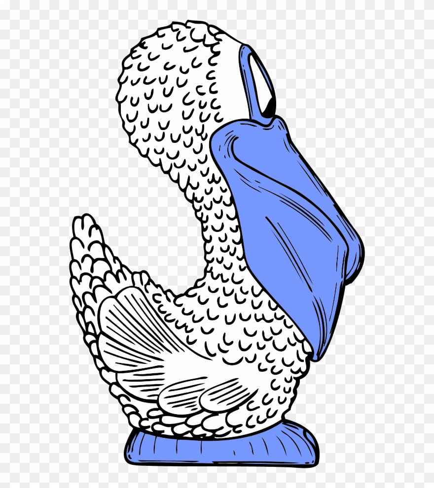 Bird Pelican Comic Cartoon - Cartoon Pelican Shower Curtain Clipart