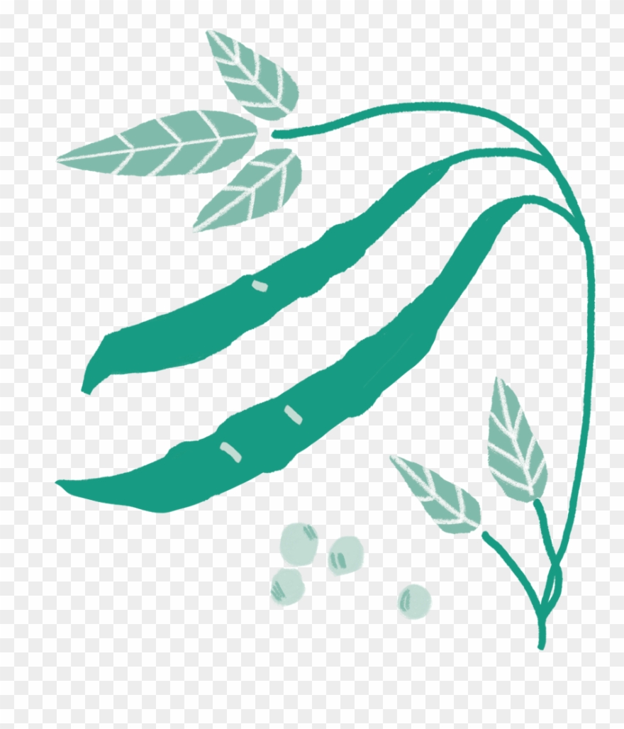 Illustration Clipart