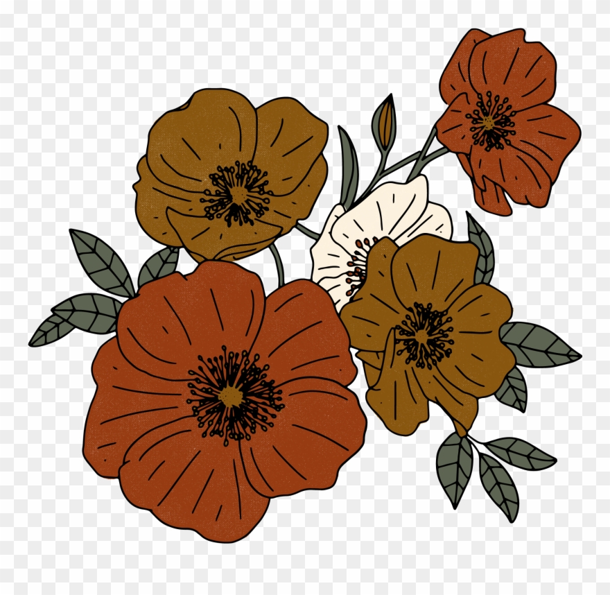 Get In Touch - Zinnia Angustifolia Clipart