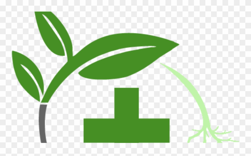 Today's Herbal Choice Clipart