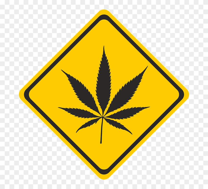 Responsible Recreational Marijuana Use In Nevada - Pot Leaf Clipart