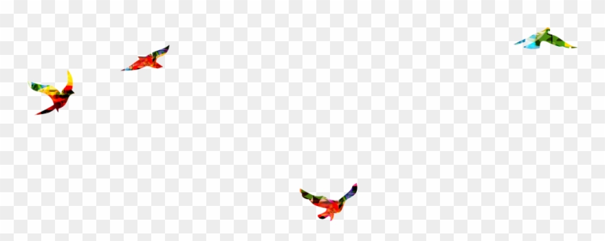 Brownsville South Padre Island International Airport Clipart