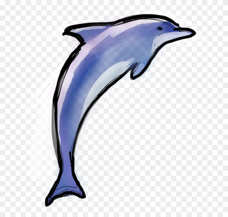 Dolphin Stage - Scrub Jay Clipart