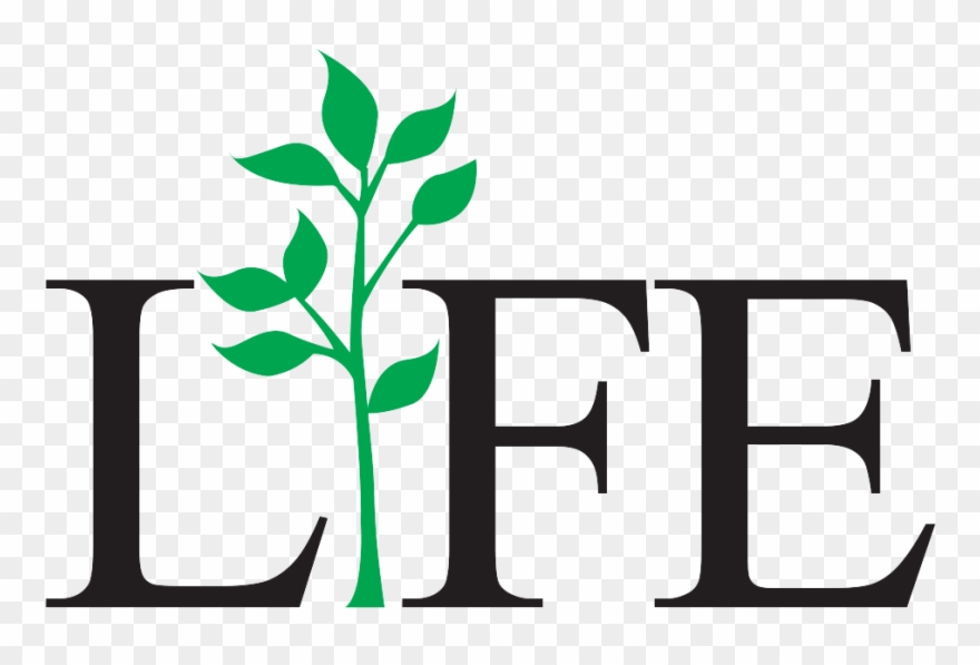 Life Png Photo - Florida Department Of Health Clipart