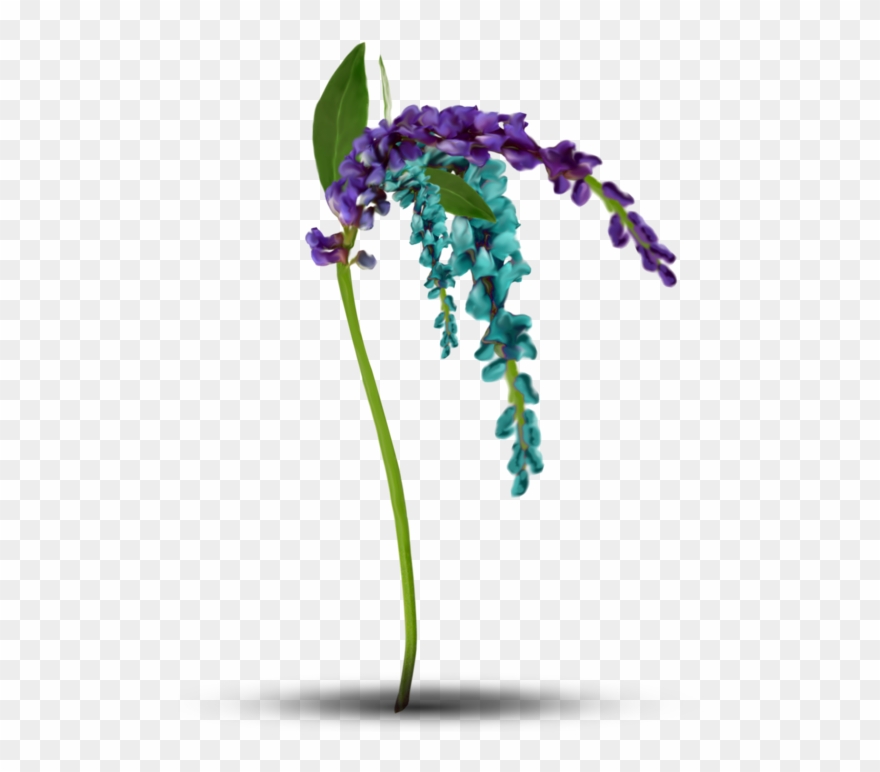 Png Клипарт Полевые Цветы - Flower Clipart