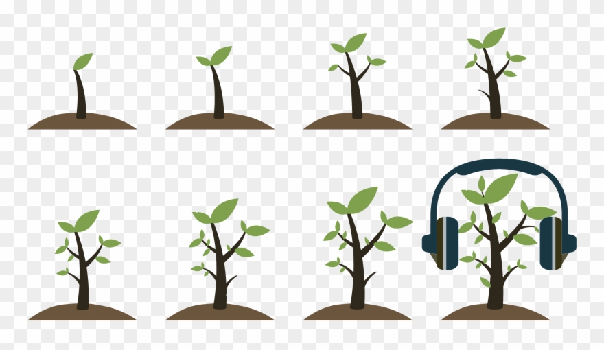 7, 2018, Noon - Growing Up Leaf Clipart