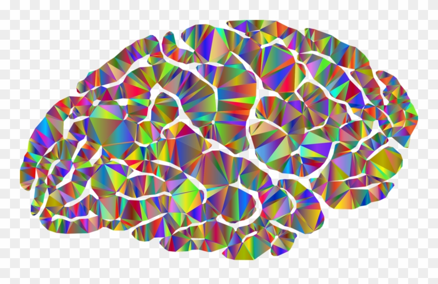 Human Brain Neuroimaging Neuroscience - Brain Neuroimaging Clipart