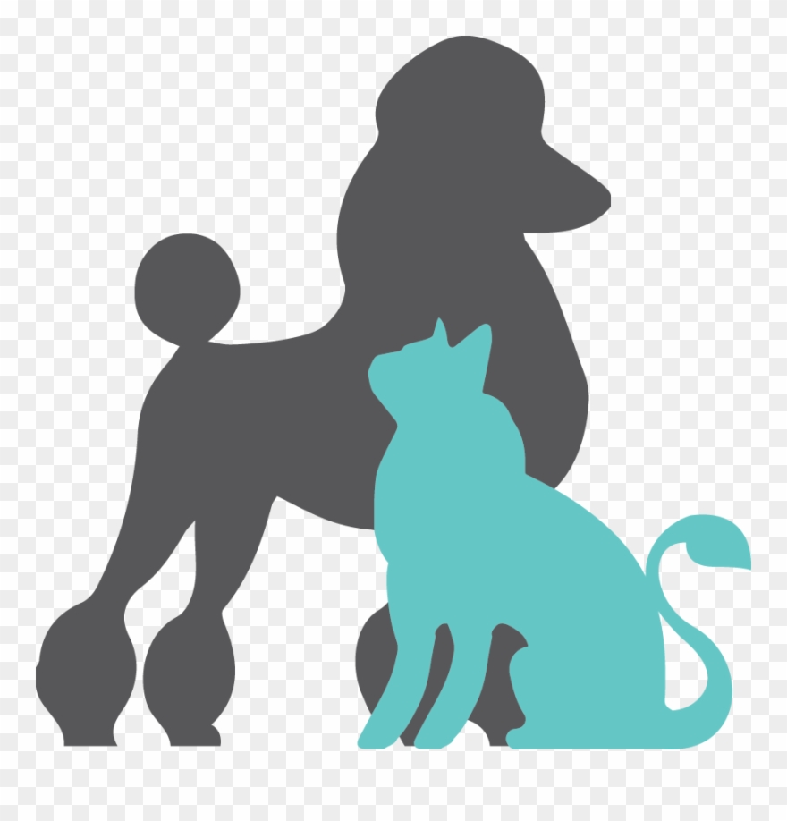 Abbotsford Dog & Cat Grooming - Poodle And Cat Silhouette Clipart