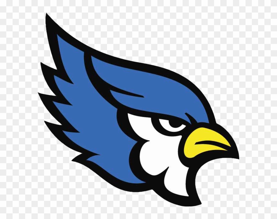 Liberty Blue Jay Clipart