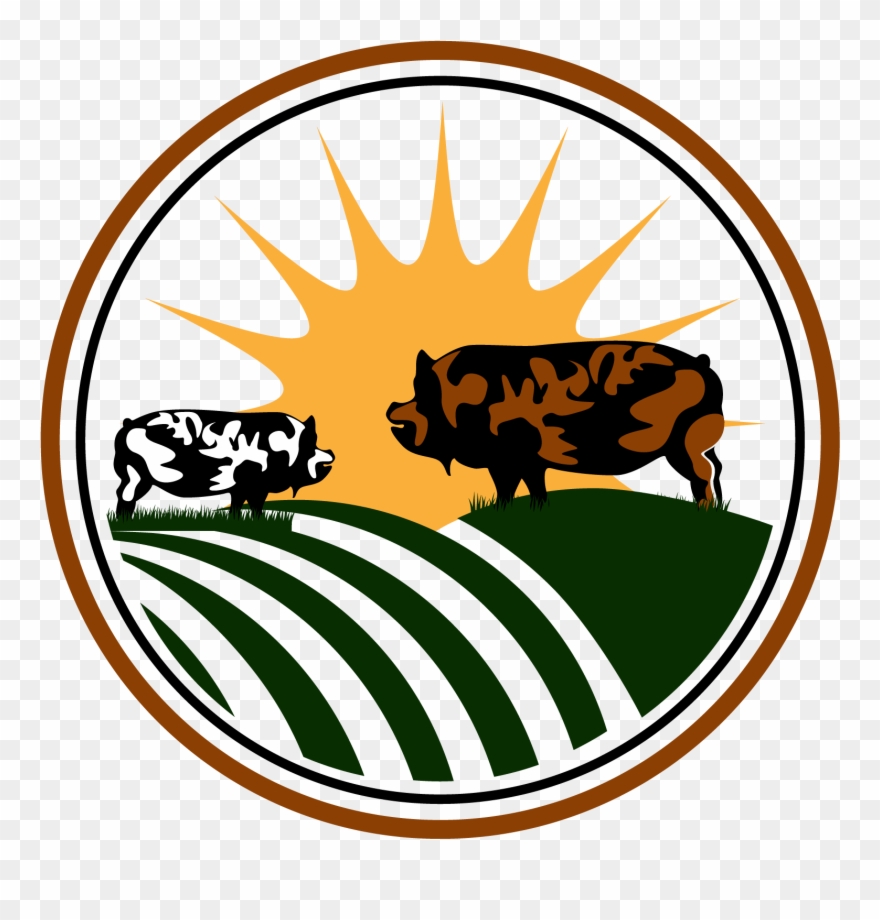 Herd Clipart Be Careful - Virginia Kunekunes - Png Download