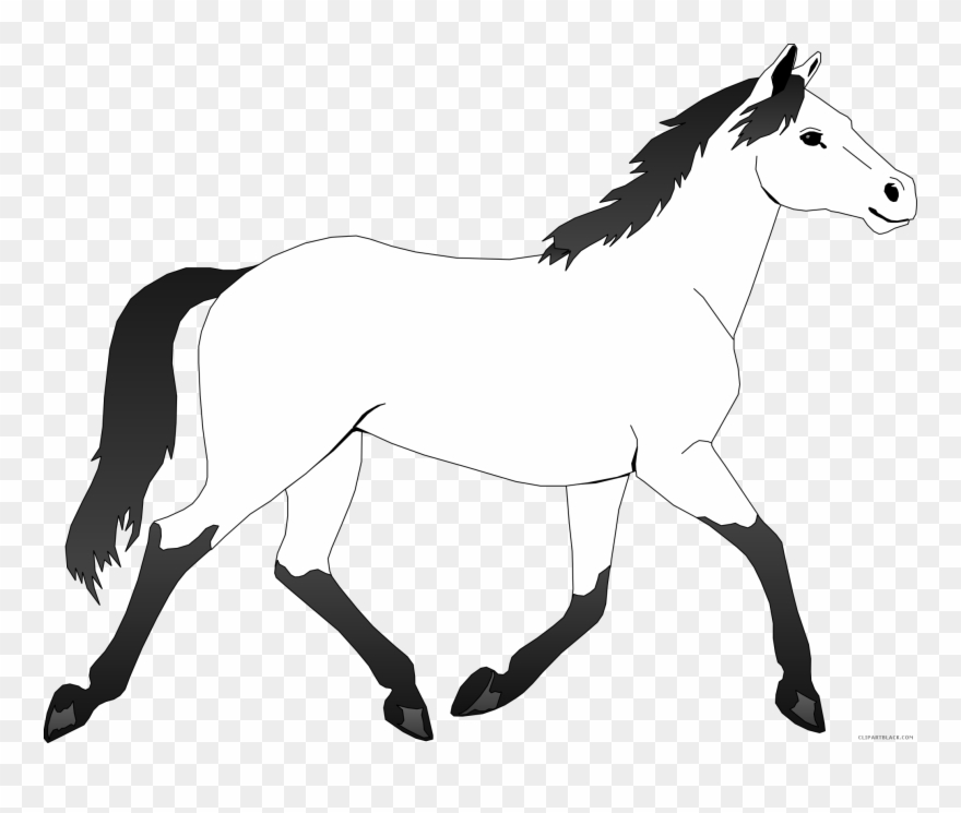 Horse Outline Animal Free Black White Clipart Images - Pretty Horse Horse Colouring Pages - Png Download