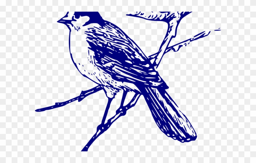 Blue Jay Clipart Vector Maya Bird Maya Black And White Png Download Pinclipart