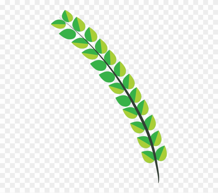 Sukkot, Fakta - Twig Clipart