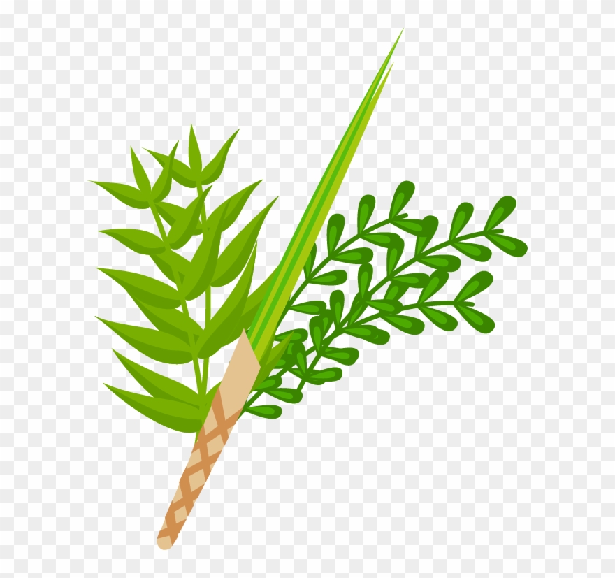 Sukkot Png Clipart