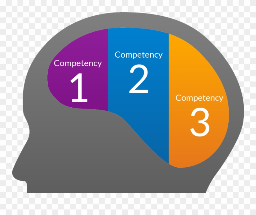 Download Competency Areas - Competence Clipart (#1123694) - PinClipart