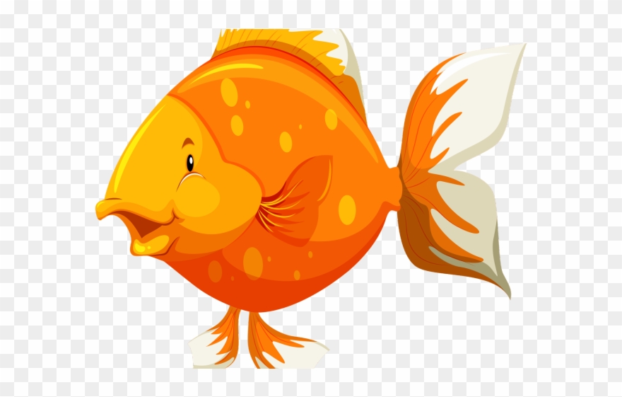 Gold Fish Clipart Under Sea - Parts Of The Body Of Fish - Png Download