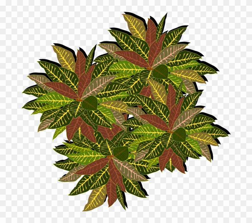 Computer Icons Tree User Interface Pdf Video - Portable Network Graphics Clipart