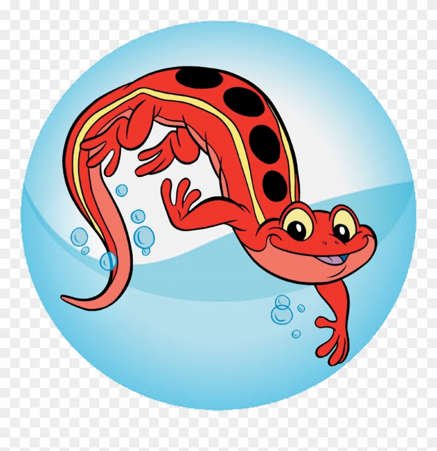 Salamander - Jewish Salamander Clipart