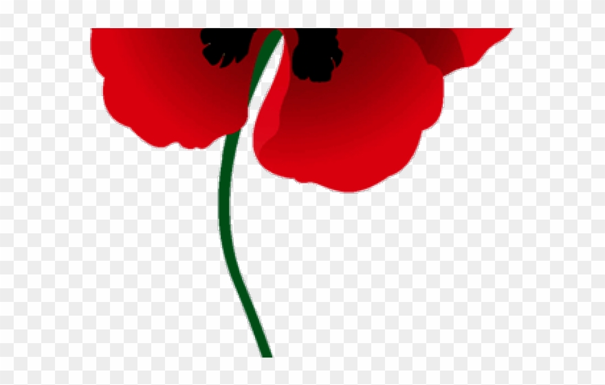 Poppy Clipart Red Poppy - Memorial Day - Png Download