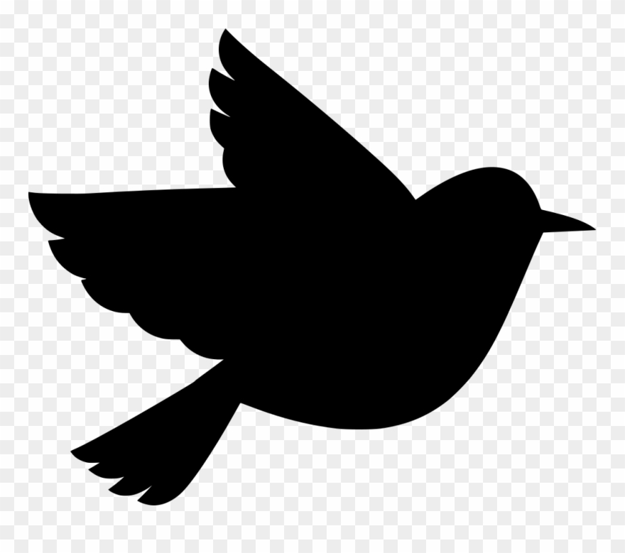 Info - Bird Peace Clipart