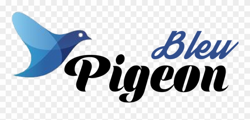 Pigeon Bleu - Pigeons And Doves Clipart