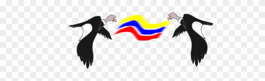 Condor Colombiano - Clip Art - Png Download