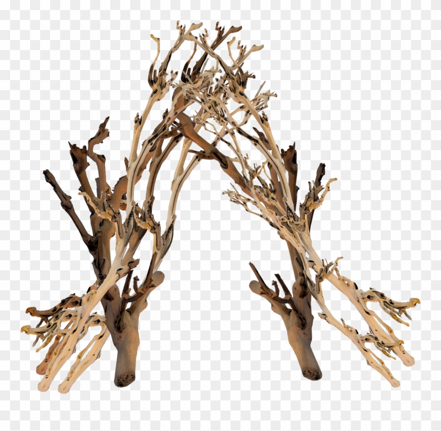 Our Den - Twig Clipart