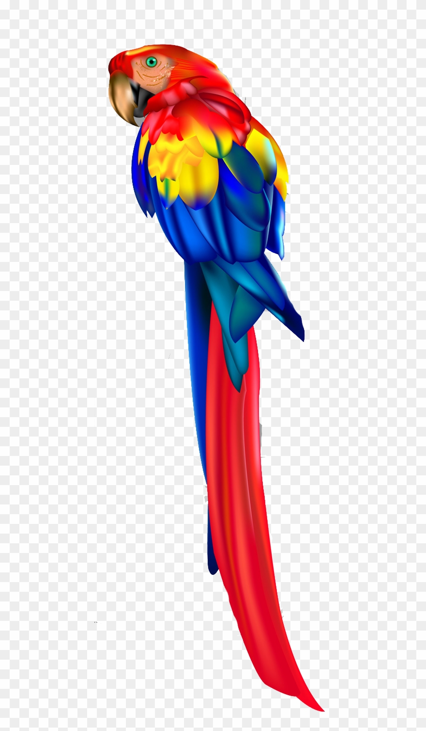 Parrot Vector Png Clipart