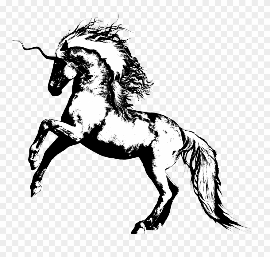 I Mostly Had Knights, And Horses And Alot Of Eggs That - Mane Clipart