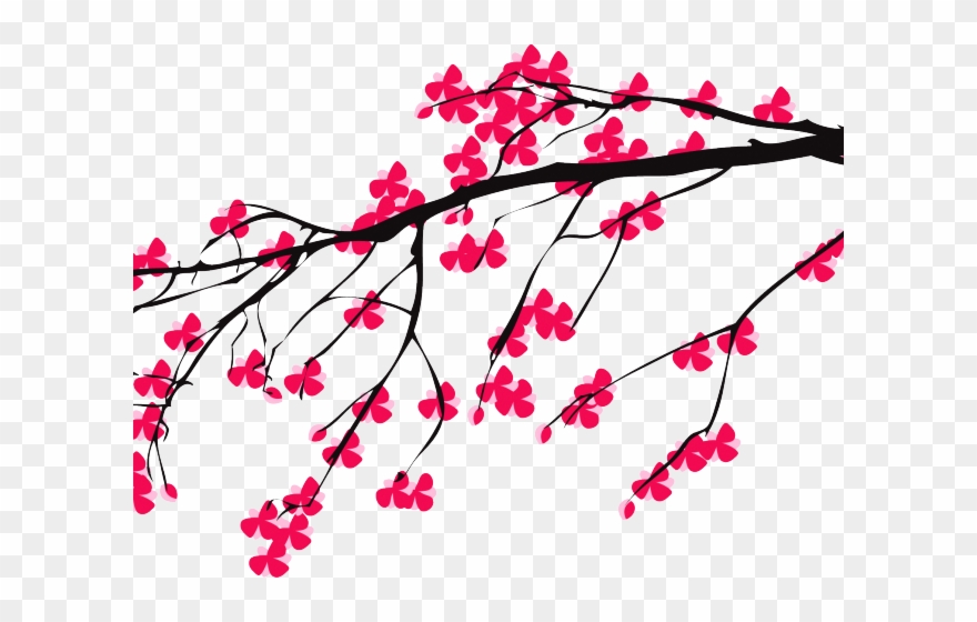 Original - Clip Art Cherry Blossom Transparent - Png Download