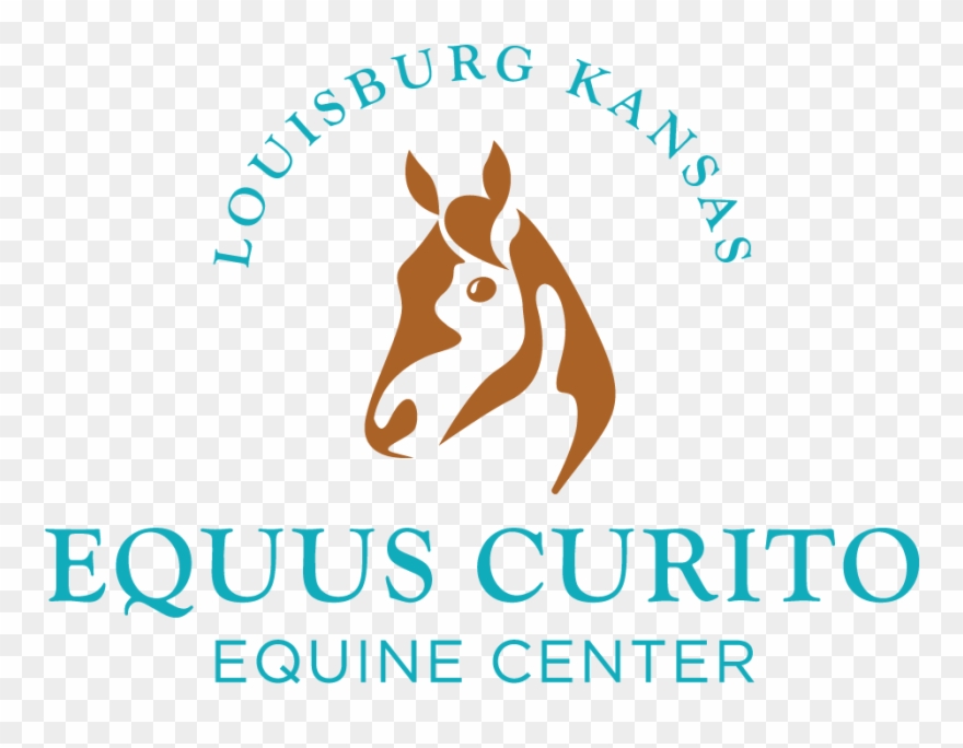 Equus Curito Equine Center - Stallion Clipart