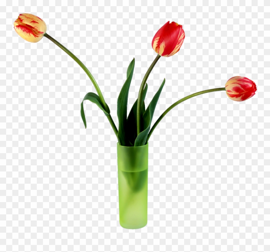 Spring Tulips Flowers For Algernon, Cactus Flower, - My Wife On Valentine's Day Card Clipart