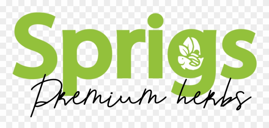 Graphic Design Clipart