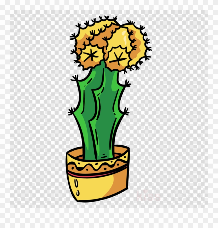 Cactus Clipart Flowering Plant Echinopsis Oxygona - Cactus - Png Download
