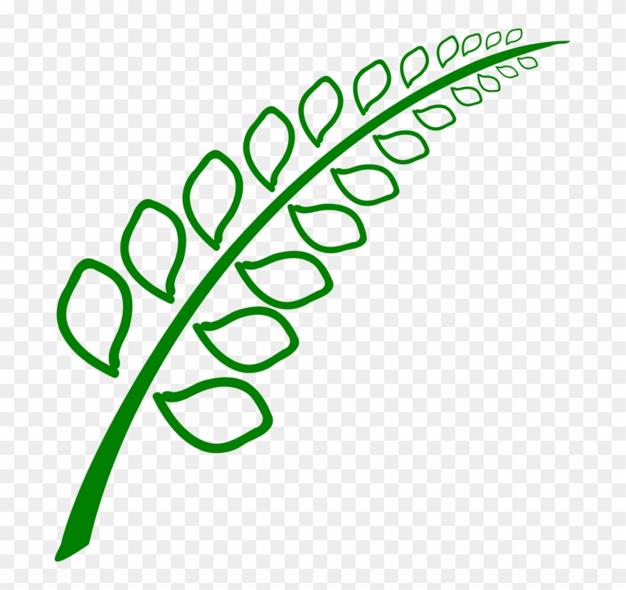 All Photo Png Clipart - Botany Transparent Png